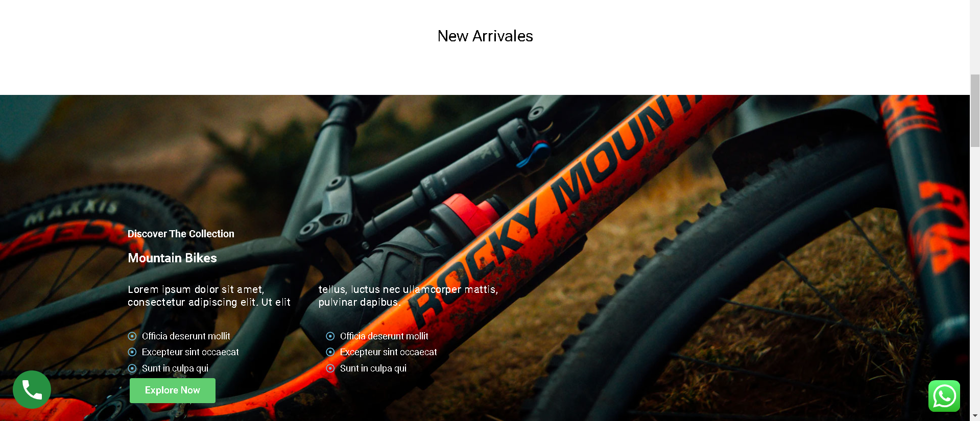 Rockey Mountain Bikes ( 2 )