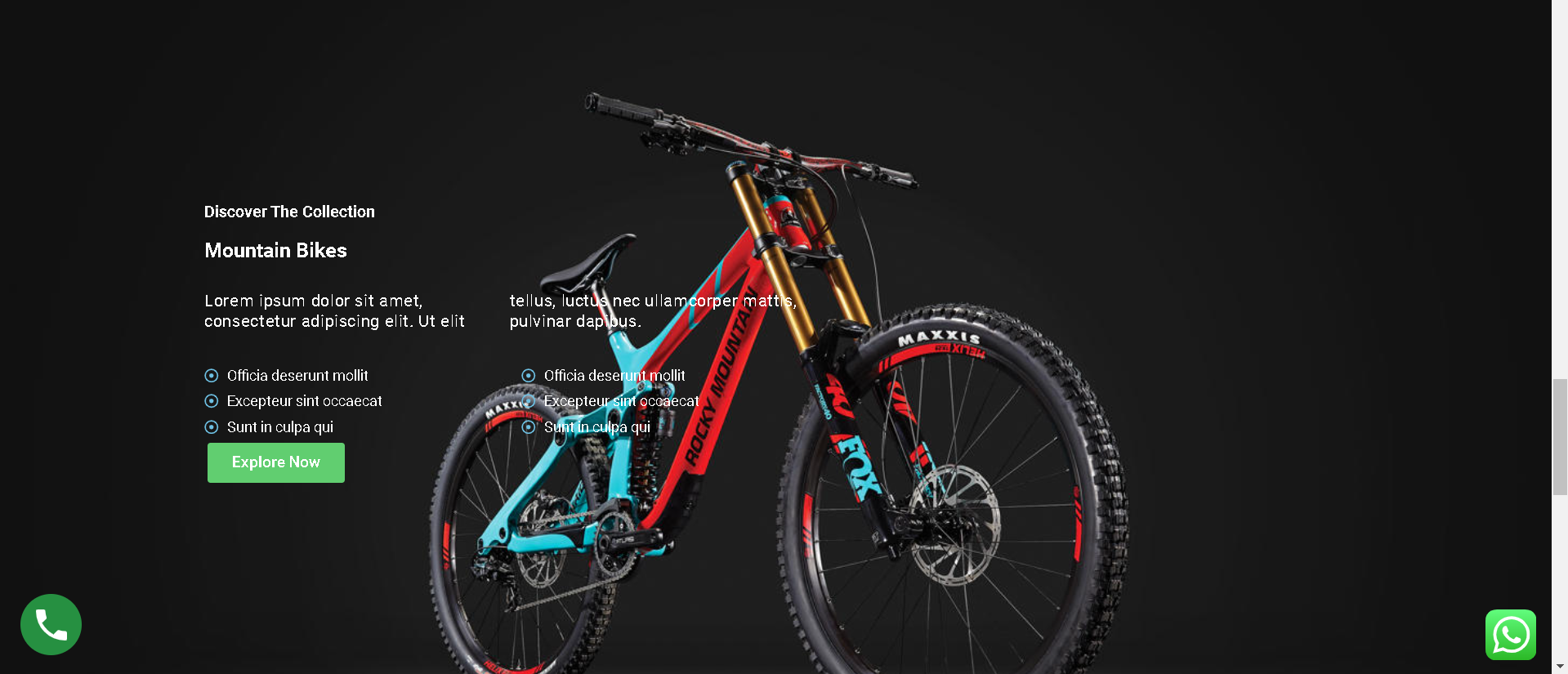 Rockey Mountain Bikes ( 4 )